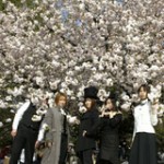 ゴシック＆ロリータなお花見