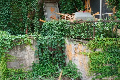 DSC02712 JPG
