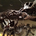恐竜の化石が大迫力！東京・上野にある「国立科学博物館」に行ってきた