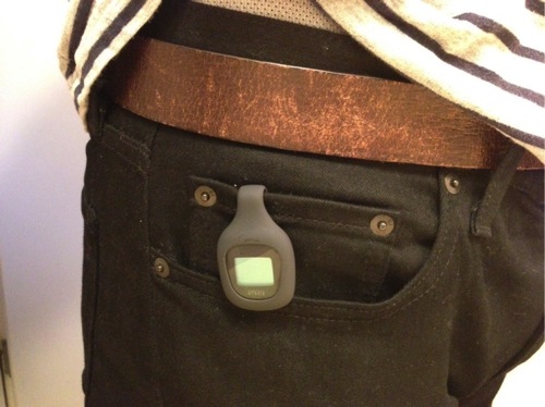 fitbit-zip-20130414-220203.jpg
