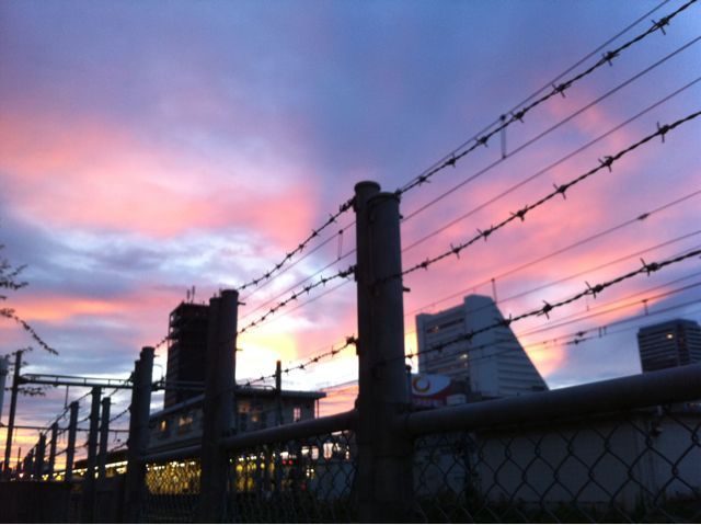 今日も夕焼けが凄い色してる