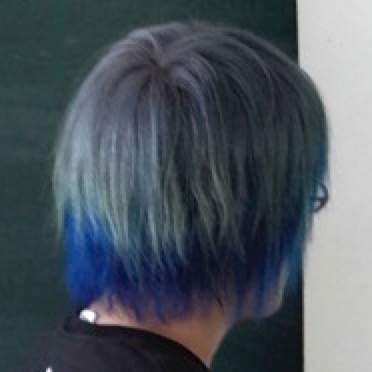 マニパニで染めた青い派手髪を毎日写真に撮って色落ちを調べてみた 拡張現実ライフ