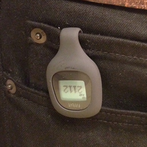 Fitbit Zip 仲間と競えるワイヤレス活動量計 時間別に歩数や消費カロリーが見られるのが楽しい